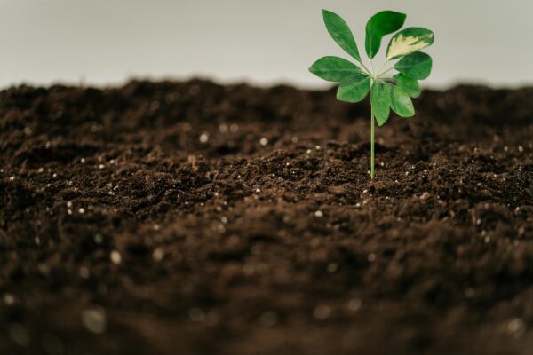 Obrazek przedstawiający różne aspekty dojrzałości emocjonalnej.