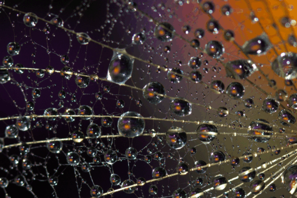 widok skupisk i skupiska dziurek a codzienne życie