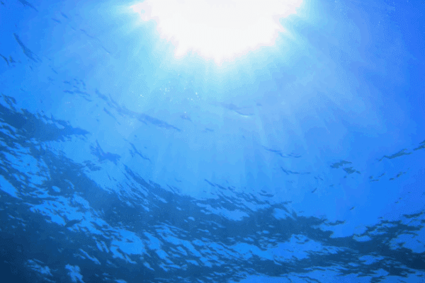 hydrofobia przykładowe sytuacje