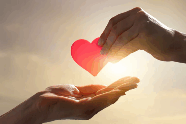 miłość wydarza się w razie wypadku